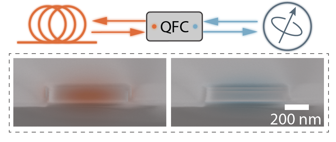 Programmable InGaP nanophotonic waveguide for QFC