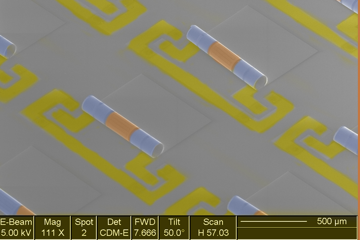 Electron microscope image of an array of new chip components that integrate the inductors, blue, and capacitors, yellow, needed to make the electronic signal filters in phones and other wireless devices.  Image courtesy Xiuling Li
