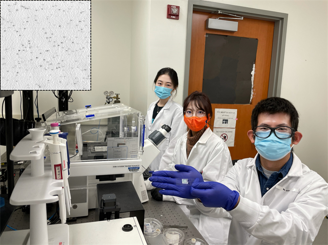 HMNTL team holds COVID 19 antibody test