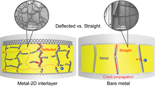 A comparison of metal-2D interlayer and bare metal components.