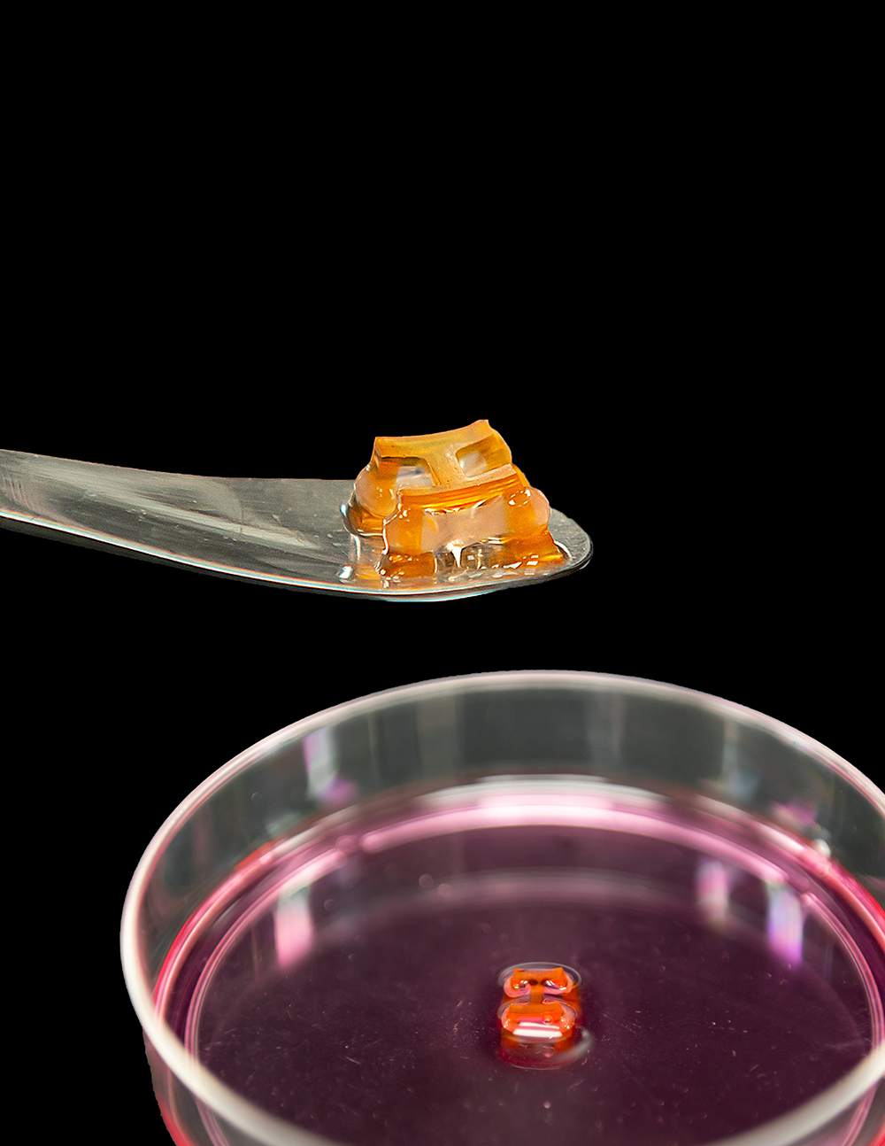 A molded I being dropped into a petri dish.